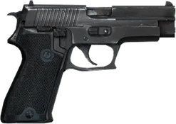 Sig Sauer P229